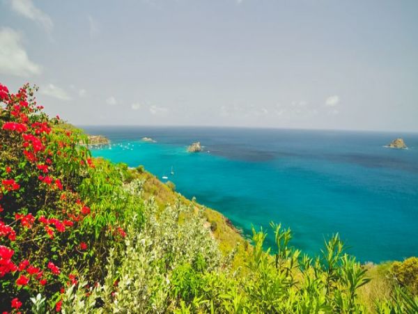 St. Barts Home 964384