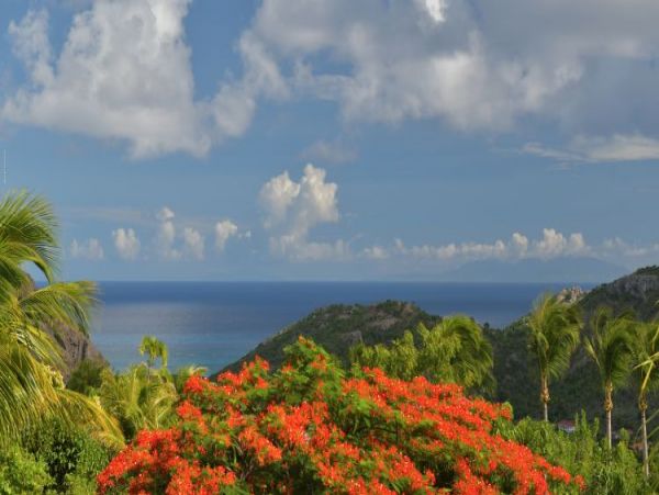 St. Barts Home 964411