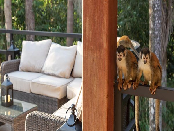 Manuel Antonio Luxury Eight Bedroom Villa