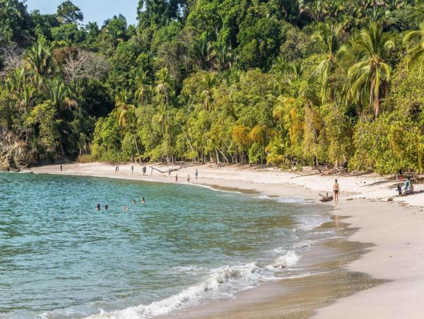 Luxury Vacation Villa Staff Manuel Antonio