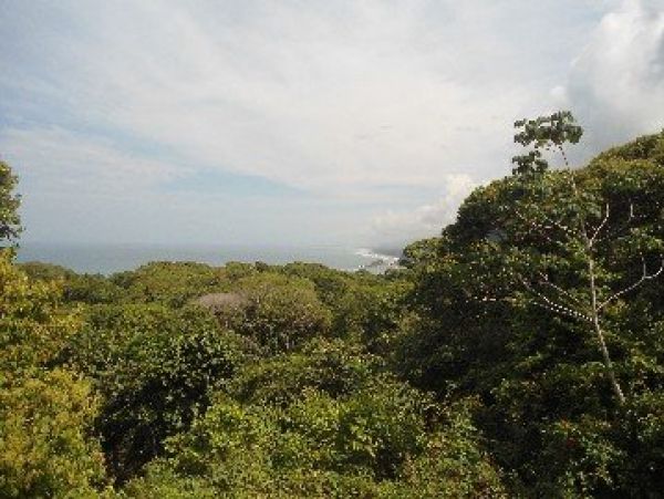 Manuel Antonio Quepos Home 964442