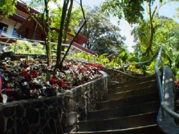 Manuel Antonio Quepos Home 964443
