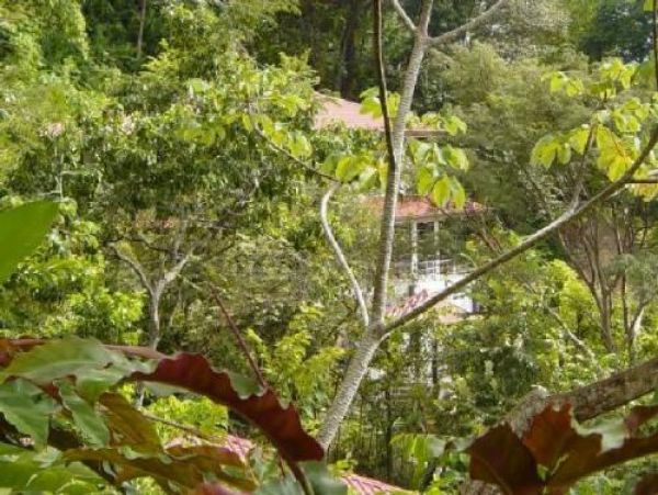 Manuel Antonio Quepos Home 964443