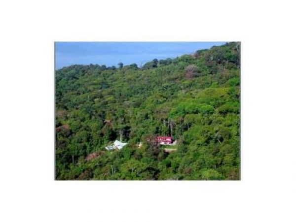 Manuel Antonio Quepos Home 964445