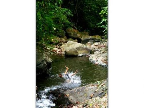 Manuel Antonio Quepos Home 964445