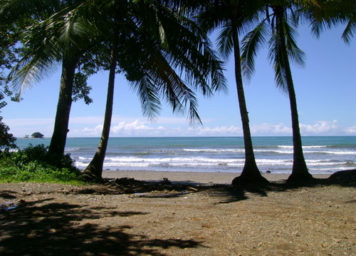 Manuel Antonio Quepos Home 964447