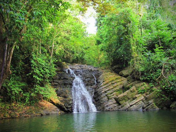 Manuel Antonio Quepos Home 964447