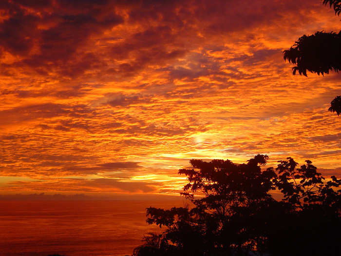 Manuel Antonio Quepos Home 964447