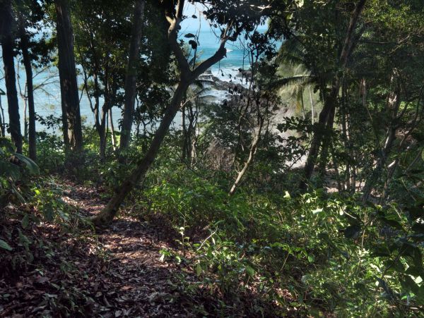 Manuel Antonio Quepos Home 964456