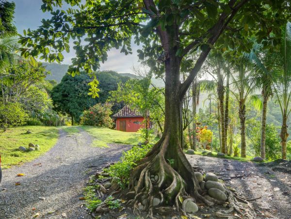 Manuel Antonio Quepos Home 964456