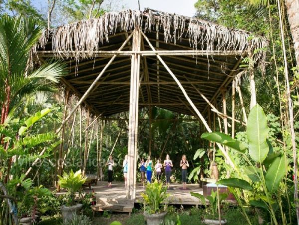 Manuel Antonio Quepos Home 964458