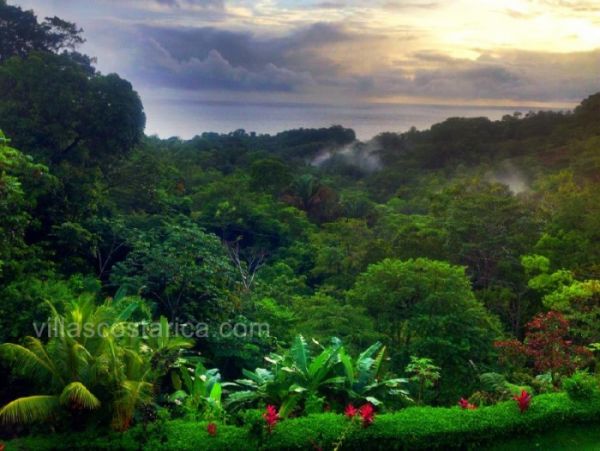 Manuel Antonio Quepos Home 964458