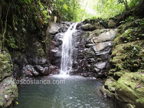 Manuel Antonio Quepos Home 964458