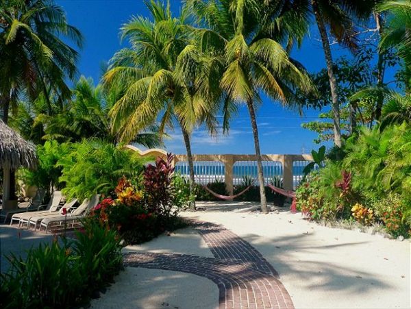 Jaco Home 964473