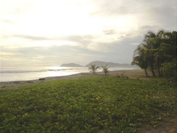Jaco Home 964473