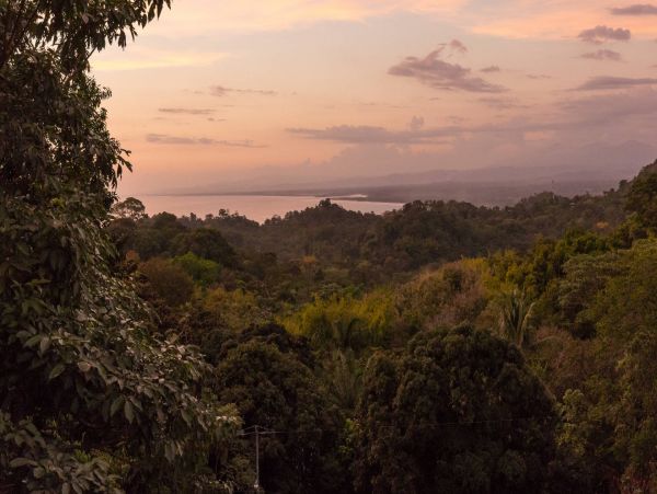 Manuel Antonio Quepos Home 964505