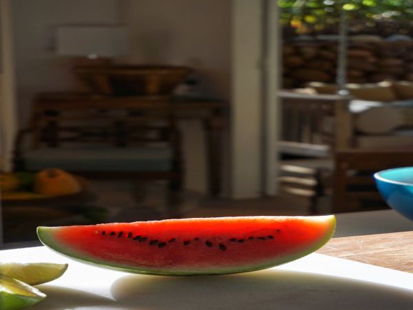 Manuel Antonio Quepos Home 964509