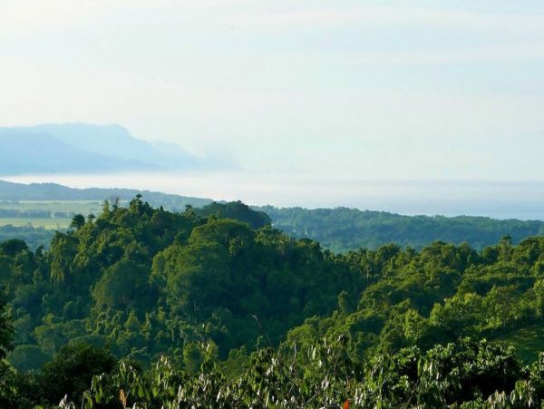 Manuel Antonio Six Bedroom Home with Private Pool