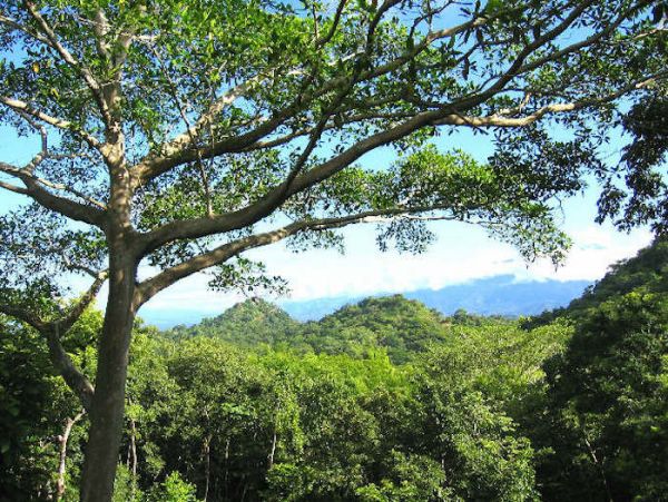 Manuel Antonio Quepos Home 964533