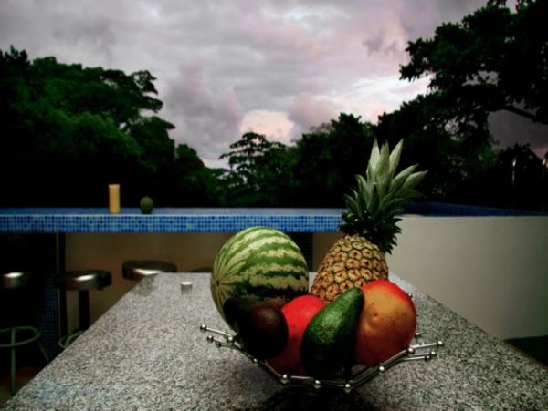 Manuel Antonio Quepos Home 964537