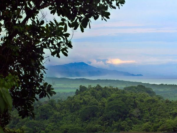 Manuel Antonio Quepos Home 964539