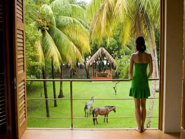 Jaco Home 964545