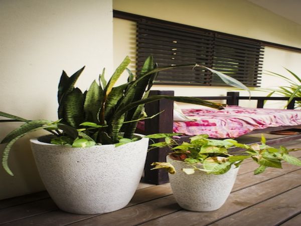 Playa Santa Teresa Home 964546