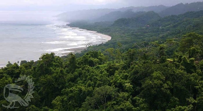 Playa Santa Teresa Home 964547