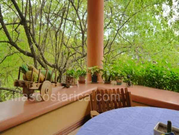 Playa Flamingo Home 964566
