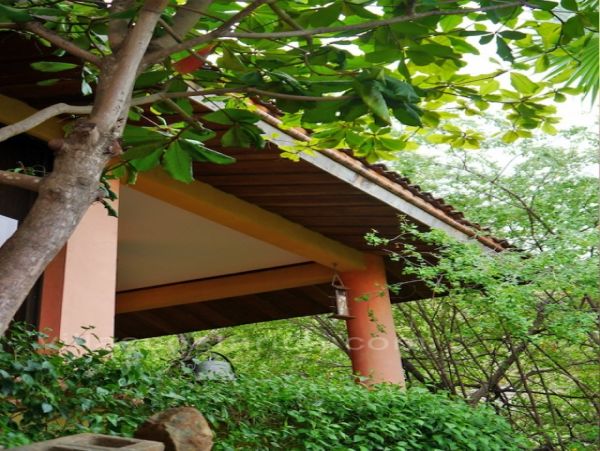 Playa Flamingo Home 964566