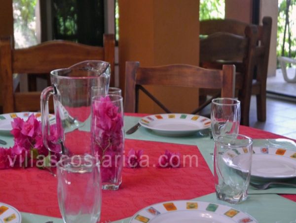 Playa Flamingo Home 964566