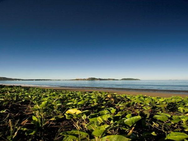 Playa Flamingo Home 964567