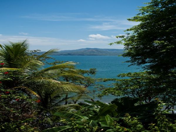 Playa Flamingo Home 964577