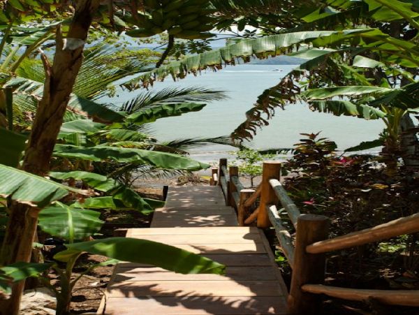 Playa Flamingo Home 964577