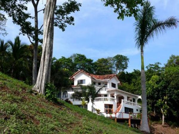 Playa Flamingo Home 964585