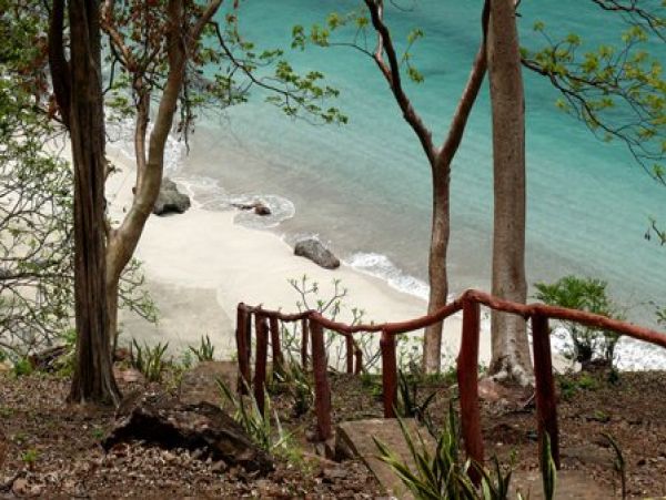 Playa Flamingo Home 964585
