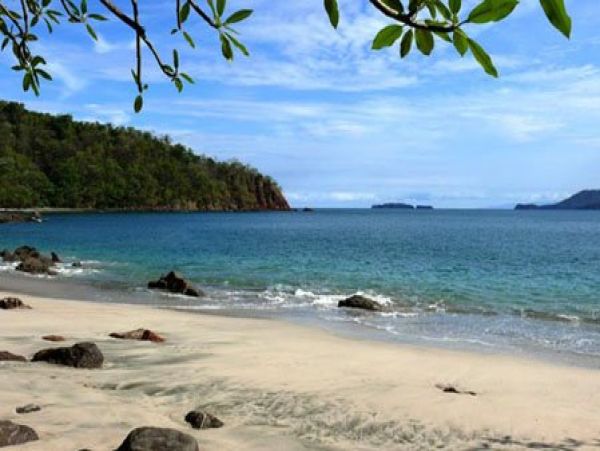 Playa Flamingo Home 964585