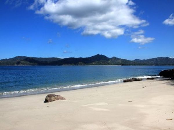 Playa Flamingo Home 964585
