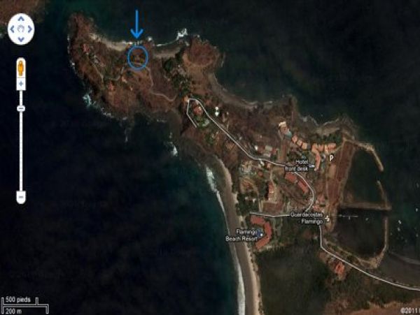 Playa Flamingo Home 964585