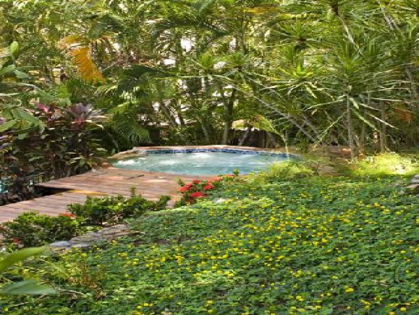 Playa Flamingo Home 964594