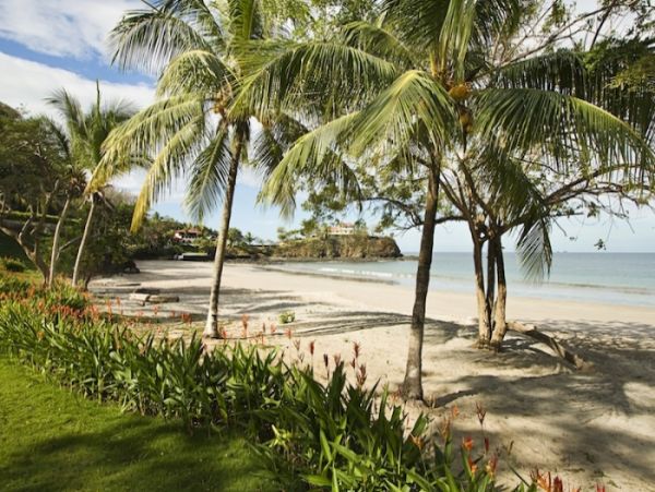 Costa Rica Luxury Beach Vacation Home- Infinity Pool & Staff