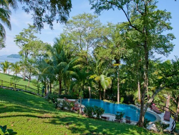 Playa Flamingo Home 964601