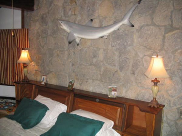 Playa Hermosa  Guanacaste Home 964643