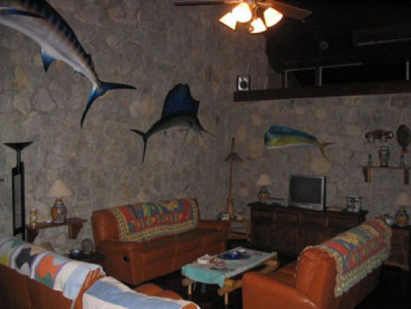 Playa Hermosa  Guanacaste Home 964643