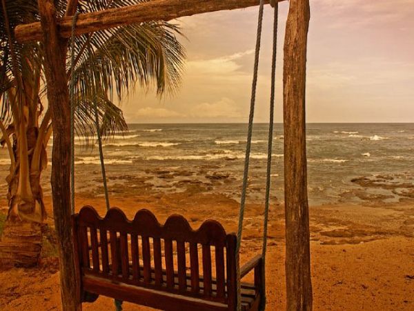 Tamarindo Home 964653