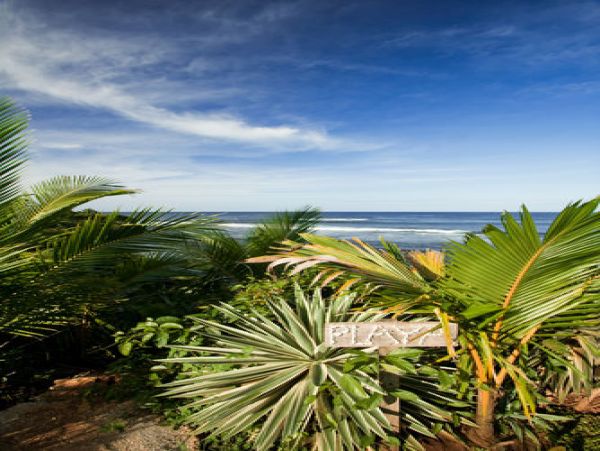 Tamarindo Home 964654