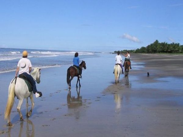 Tamarindo Home 964654