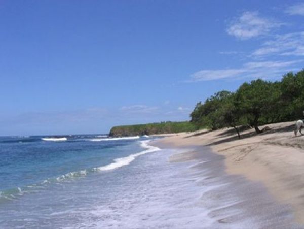 Tamarindo Home 964654