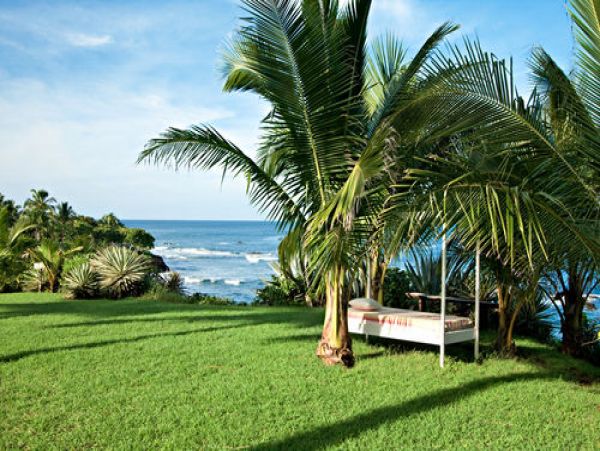 Tamarindo Home 964654