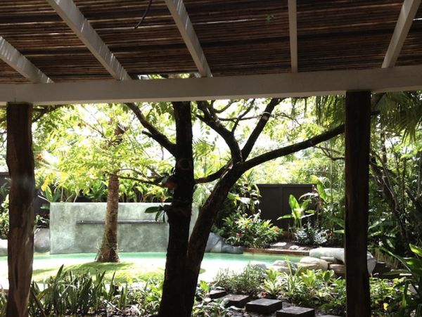 Tamarindo Home 964656